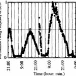 Circadian Rhythm of the SCN (exposed from Y direction)